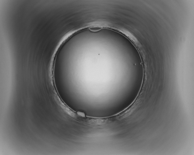 X0000115601248200911171122