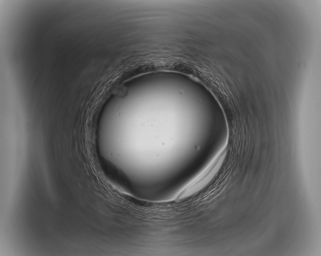 X0000115601249200911171121