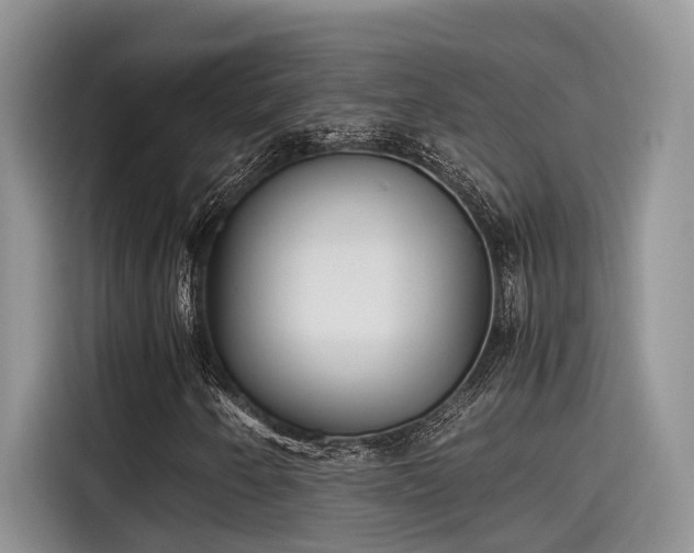 X0000115601250200911171121