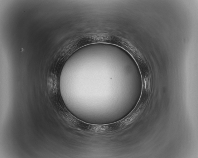 X0000115601251200911171121