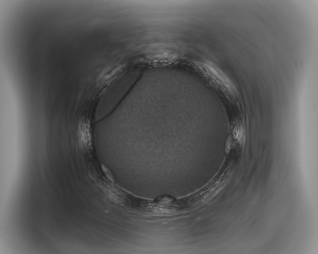 X0000115601252200911171121