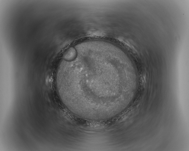 X0000115601254200911171121