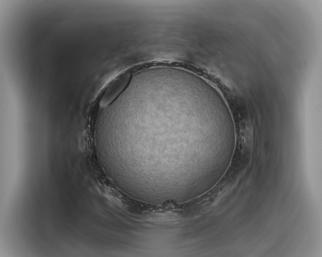 X0000115601256200911171121