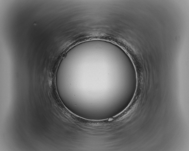 X0000115601257200911171121