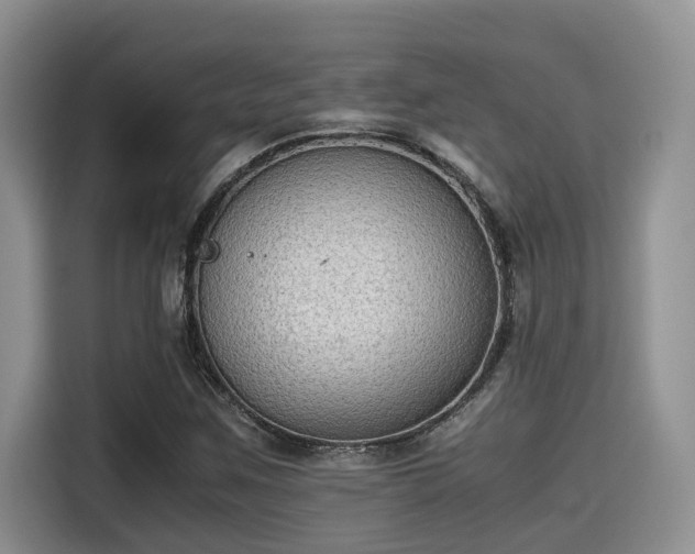 X0000115601259200911171121