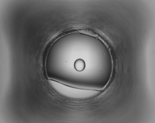 X0000115601261200911171121