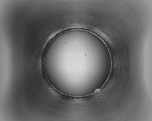 X0000115601264200911171121