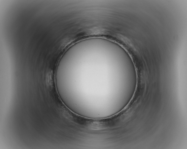 X0000115601265200911171121