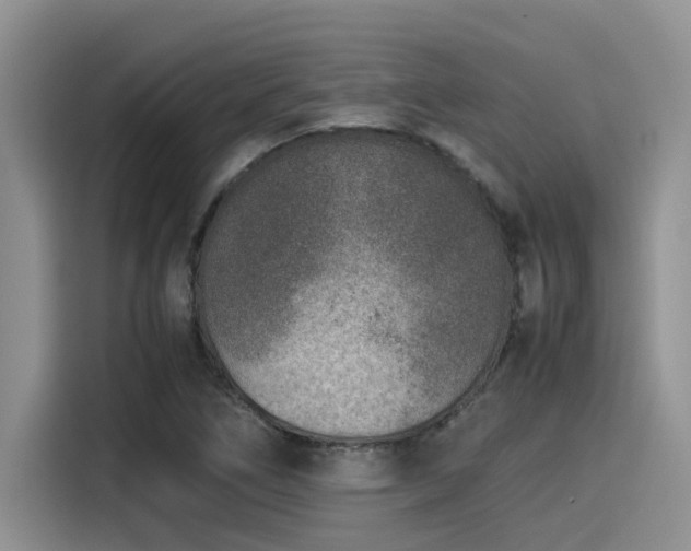 X0000115601266200911171121