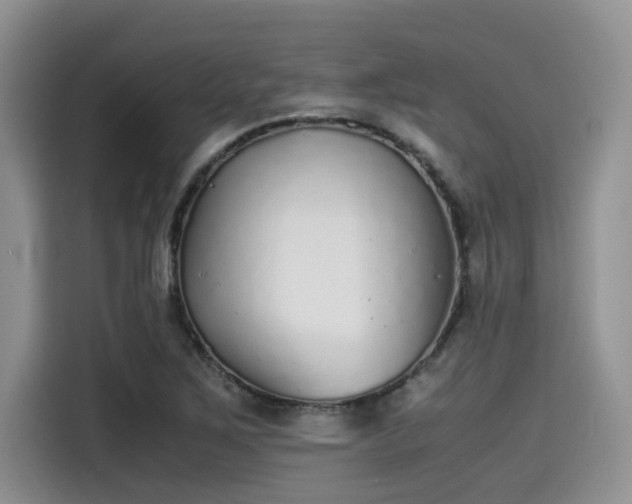 X0000115601267200911171121