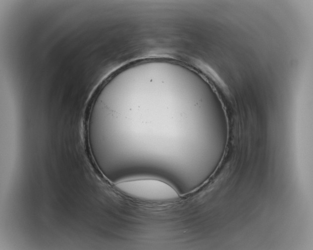 X0000115601268200911171121