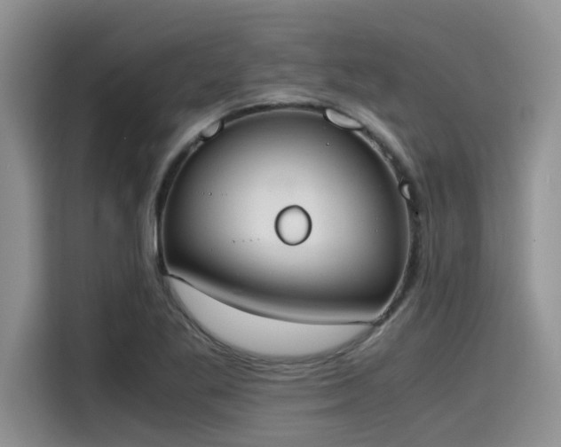 X0000115601269200911171121