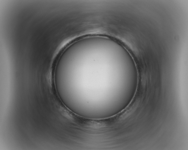 X0000115601270200911171121