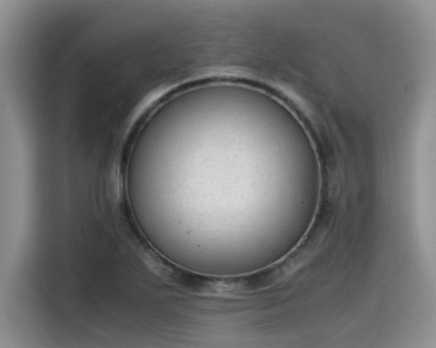 X0000115601271200911171121