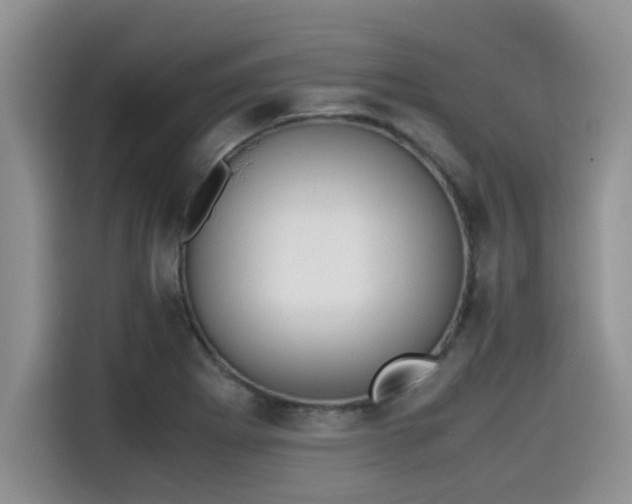 X0000115601273200911171121