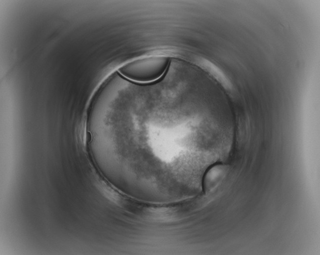 X0000115601276200911171121