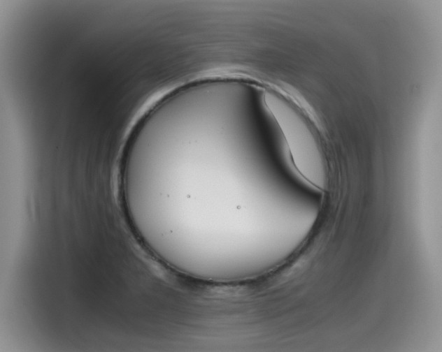 X0000115601277200911171121