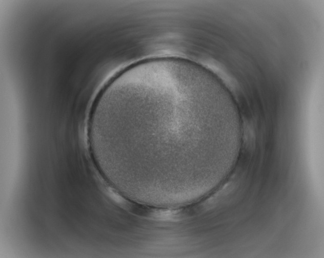 X0000115601278200911171121