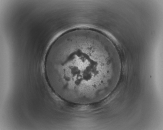 X0000115601279200911171121