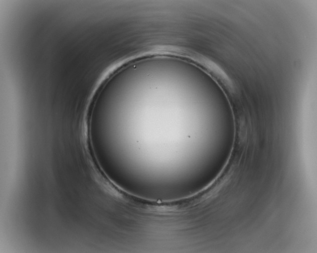 X0000115601280200911171121