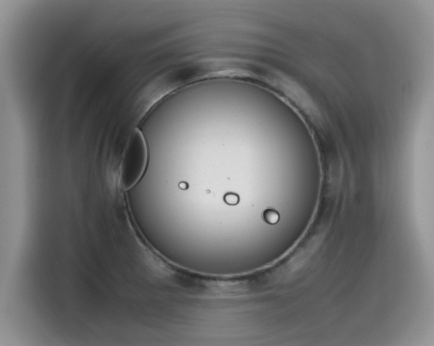 X0000115601281200911171121