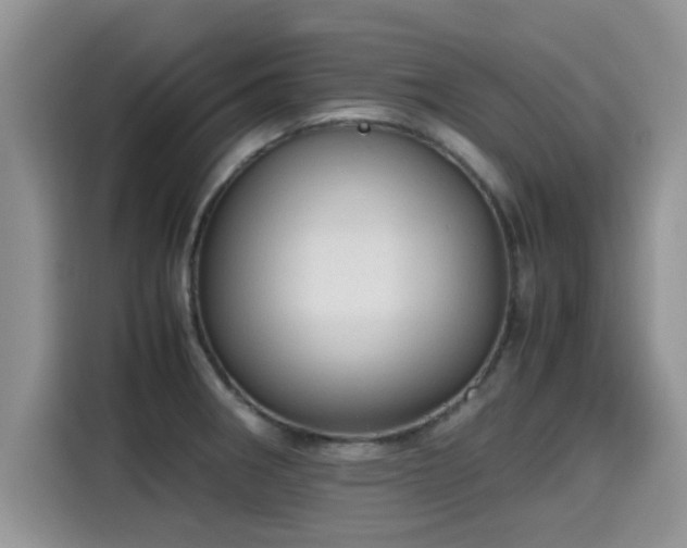 X0000115601282200911171121