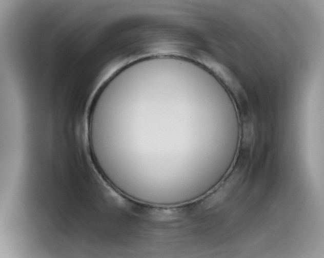 X0000115601286200911171121