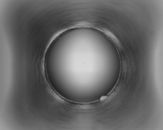 X0000115601288200911171121