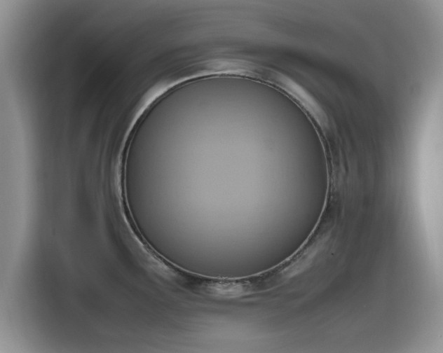 X0000115601291200911171121