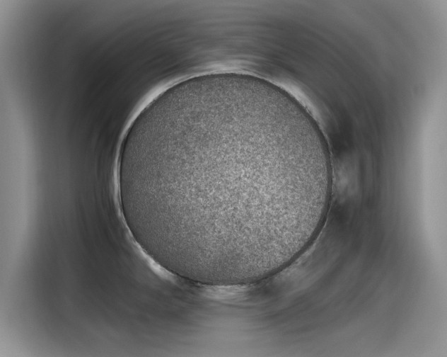 X0000115601294200911171121