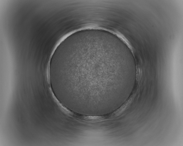 X0000115601295200911171121