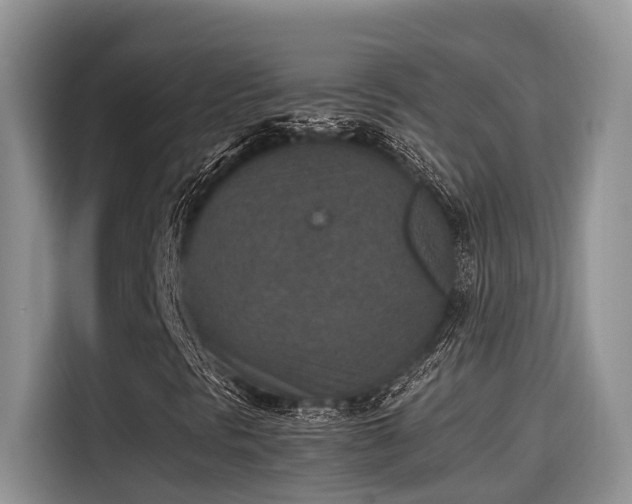 X0000115601297200911171120