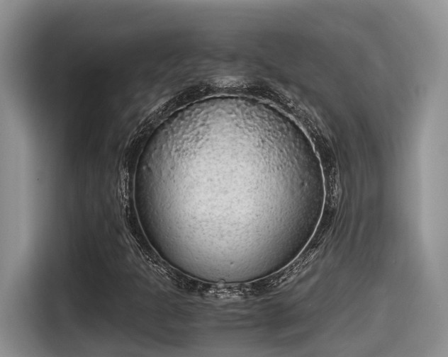 X0000115601301200911171120