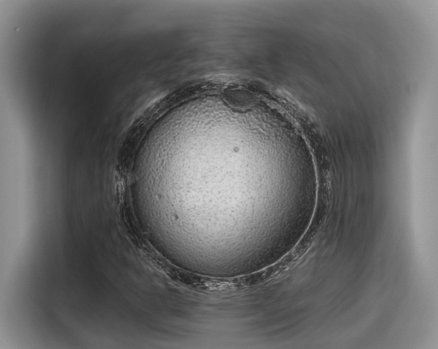 X0000115601302200911171120