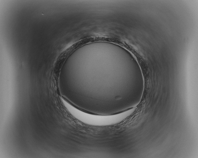 X0000115601303200911171120