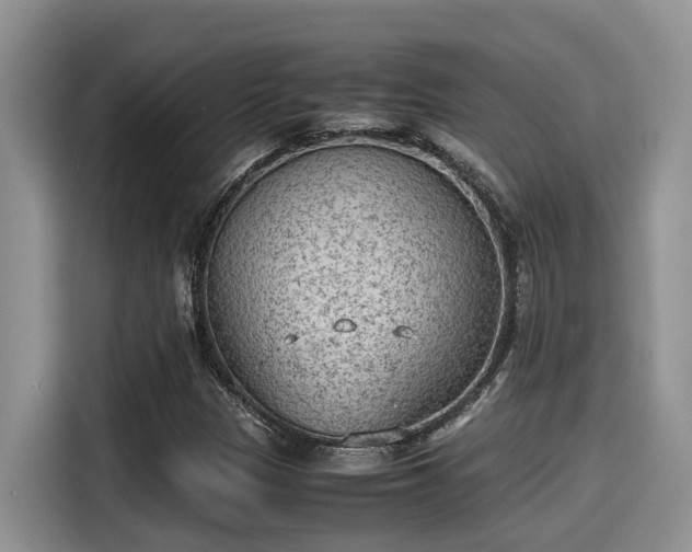 X0000115601305200911171120