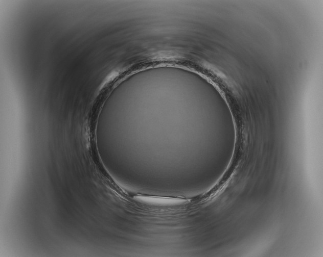 X0000115601306200911171120