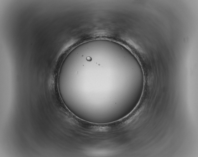 X0000115601309200911171120