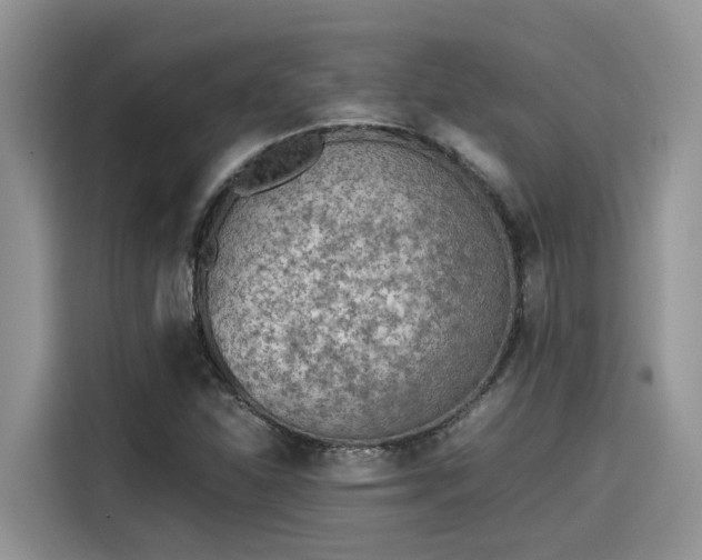 X0000115601310200911171120