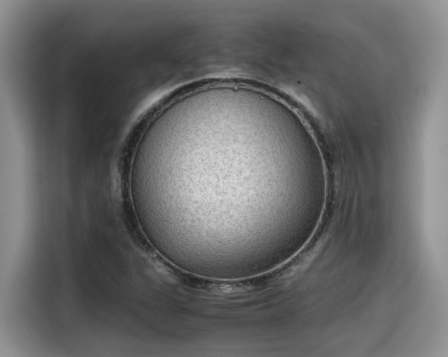 X0000115601311200911171120