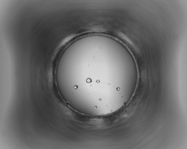 X0000115601315200911171120