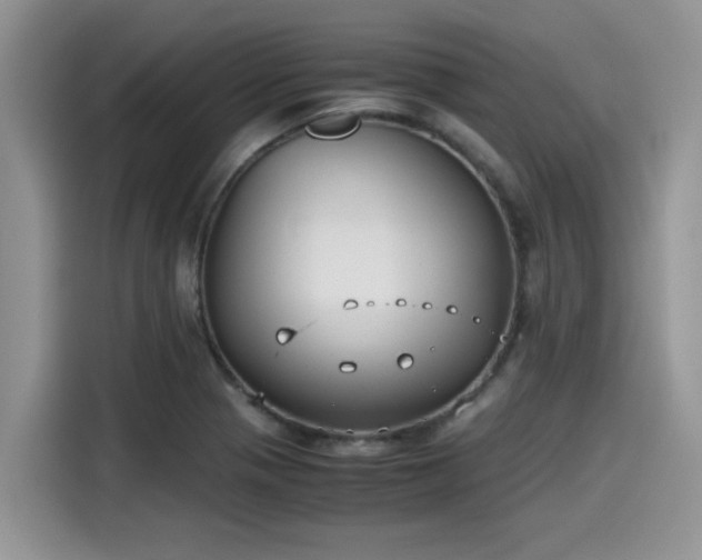 X0000115601321200911171120