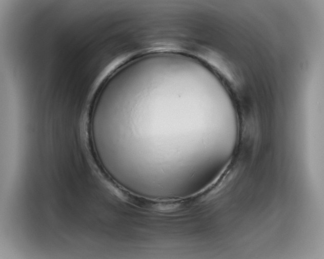 X0000115601325200911171120