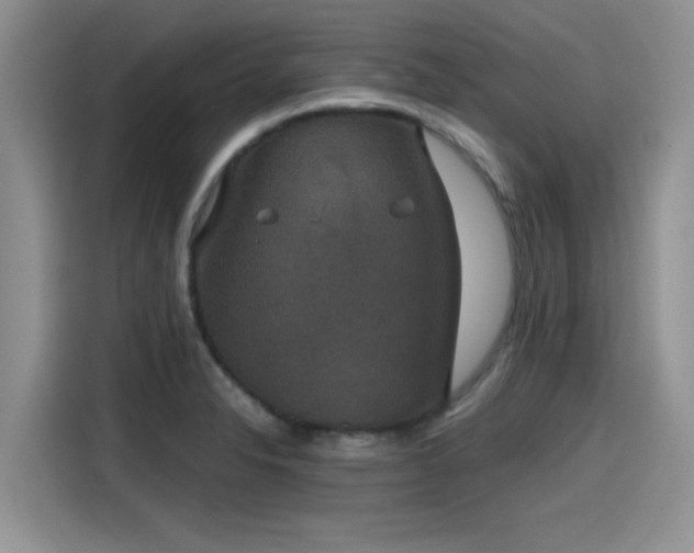 X0000115601326200911171120