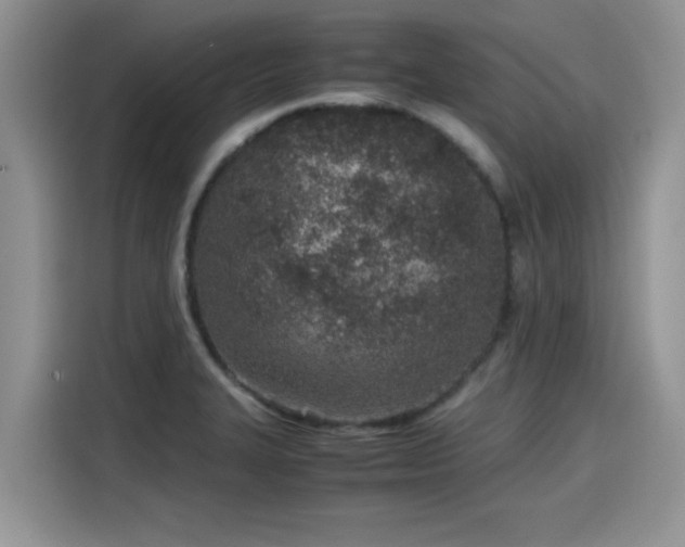 X0000115601327200911171120