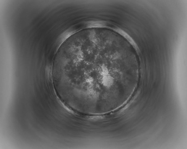 X0000115601337200911171120