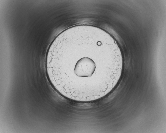 X0000115601338200911171120