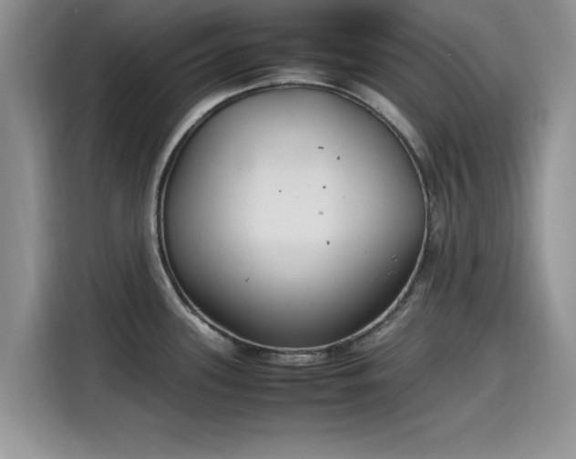 X0000115601339200911171120