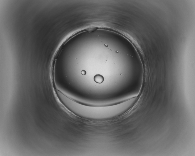 X0000115601342200911171120