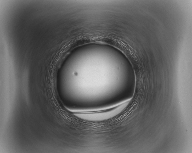 X0000115601345200911171120